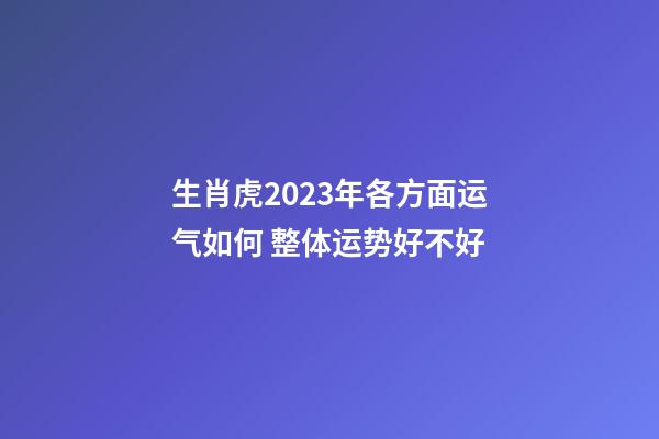 生肖虎2023年各方面运气如何 整体运势好不好